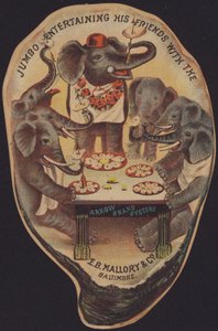 Jumbo divertissant ses amis avec les huîtres de la marque Arrow - American School